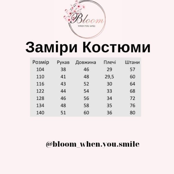 Костюм класичний 0030 фото